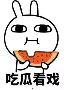 娱乐吃瓜酱野原广志,揭秘日本国民动漫家庭的欢乐日常